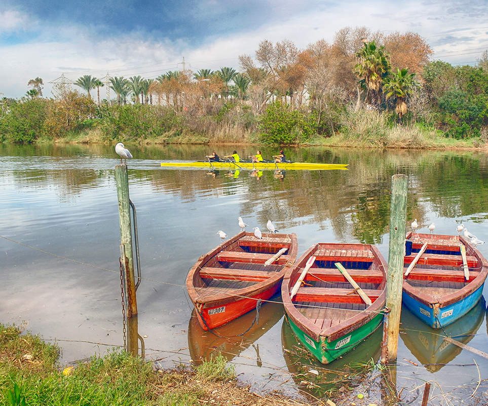 Гребные виды...
