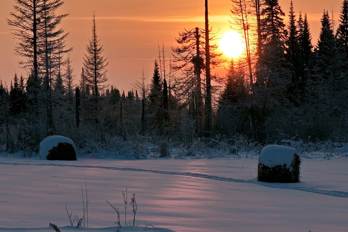 **ЗАКАТ В ЛЕСУ*