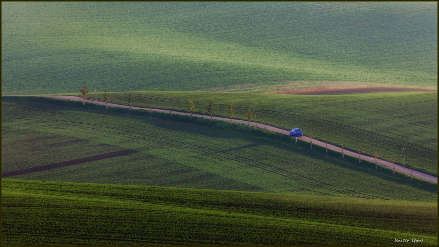 Про синий Фольксваген.