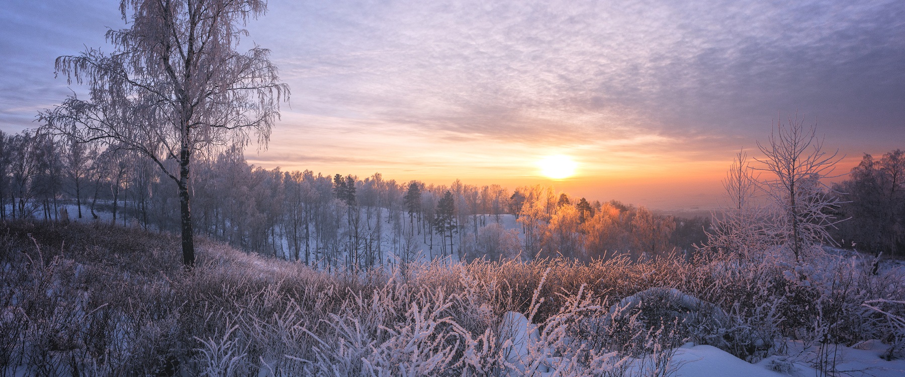 Вечерний свет.(3)