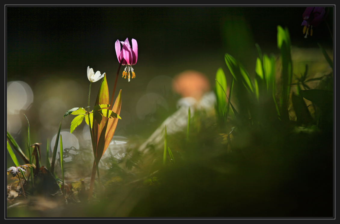 Романтическая история...