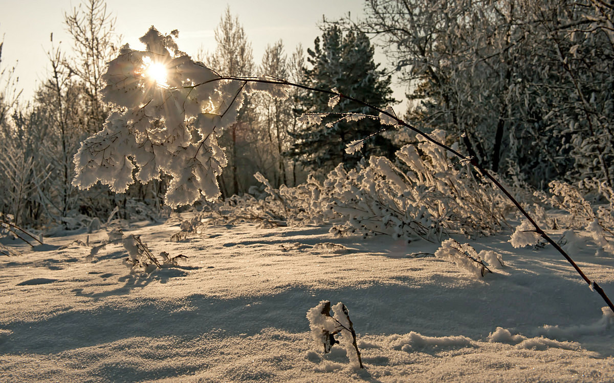 И заканчивается день...