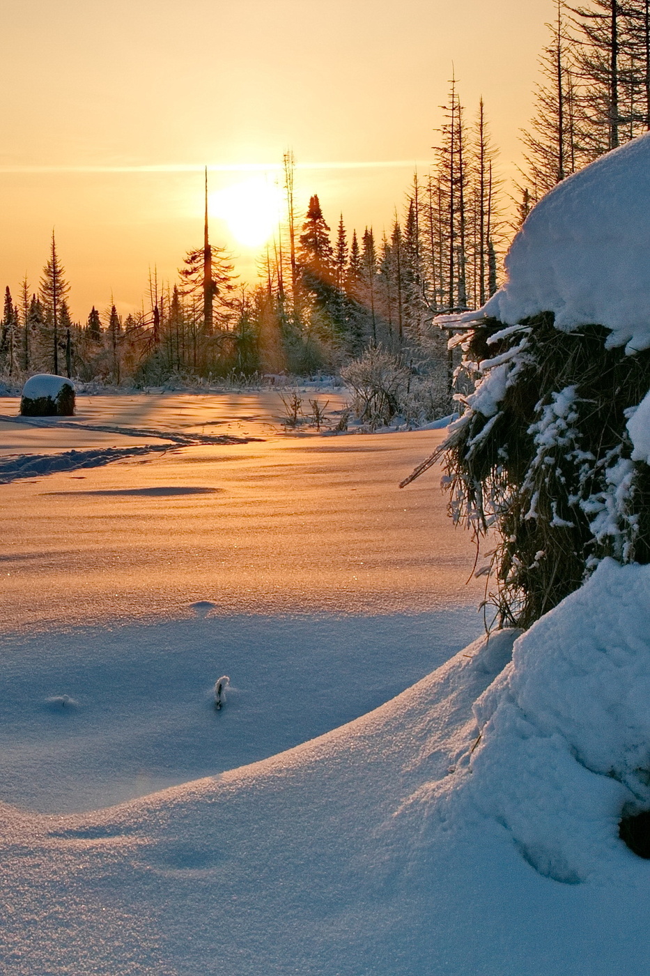 *СНЕГ И СОЛНЦЕ**