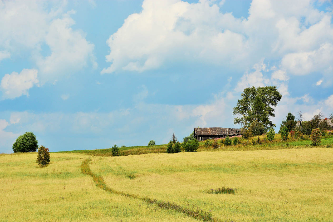 Одинокий дом ...