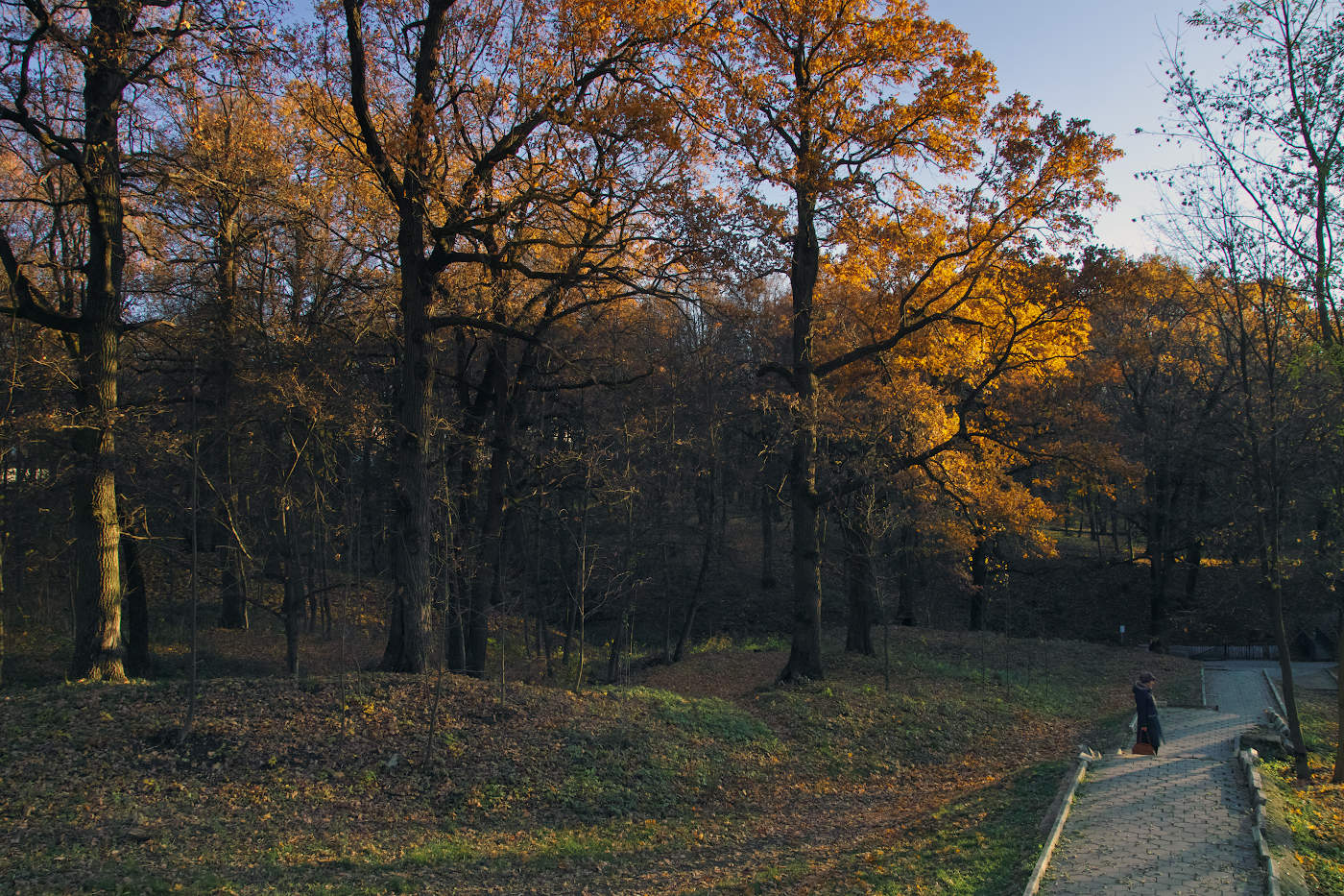 Вечерняя прогулка в парке