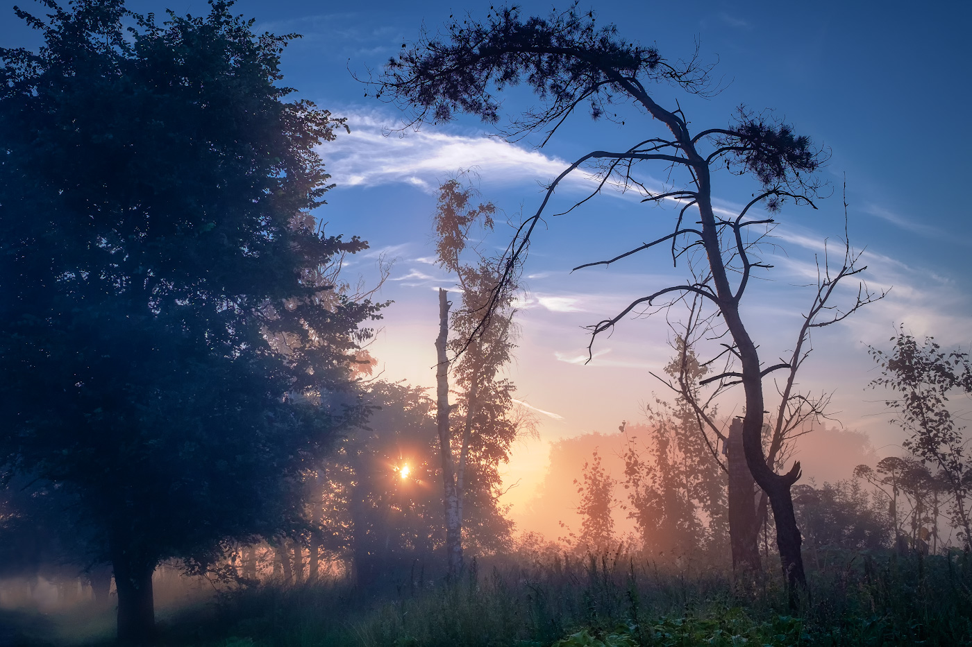 Рассветное