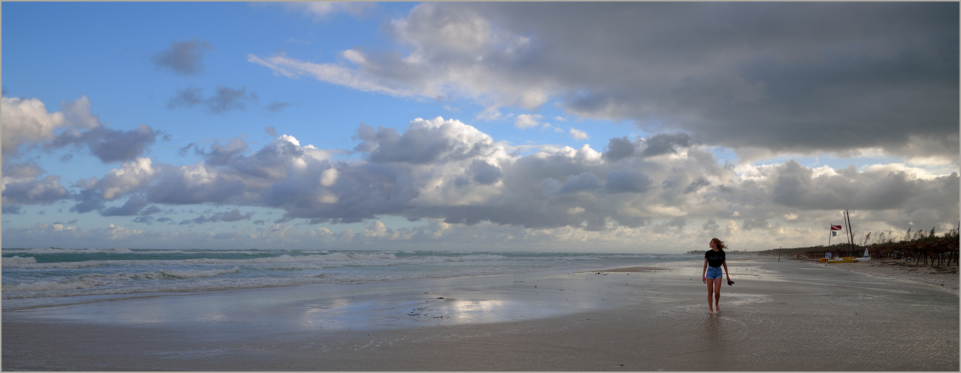 Свежий ветер