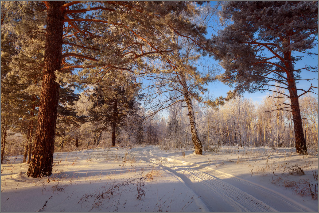 Зимний день