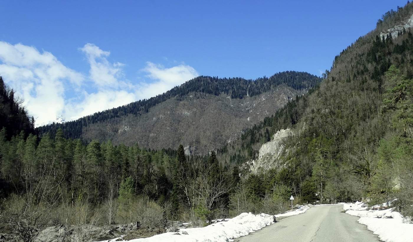 По дороге на Рицу