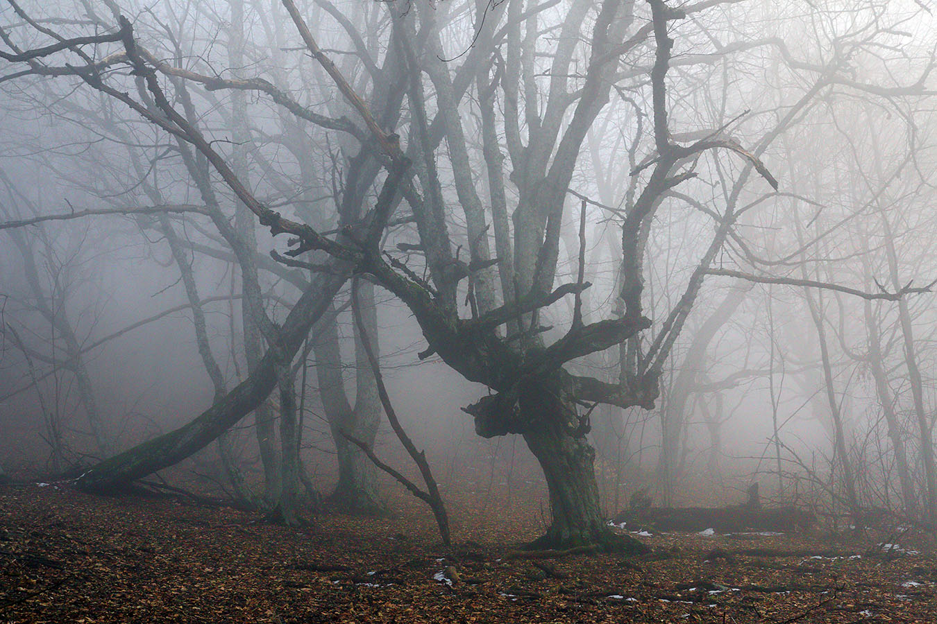 Буки Демерджи