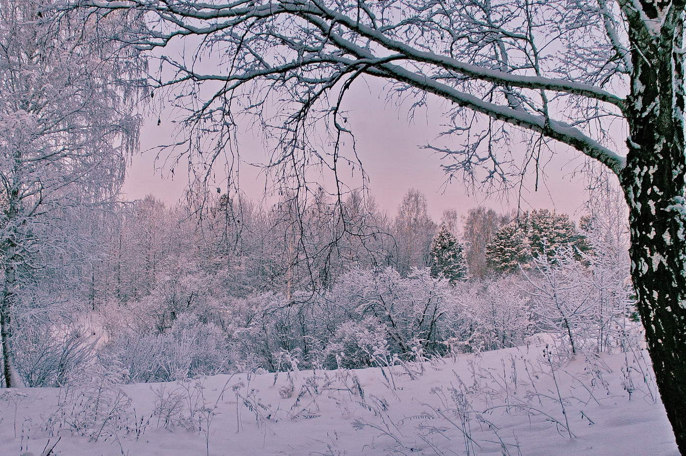 МОРОЗНОЕ УТРО