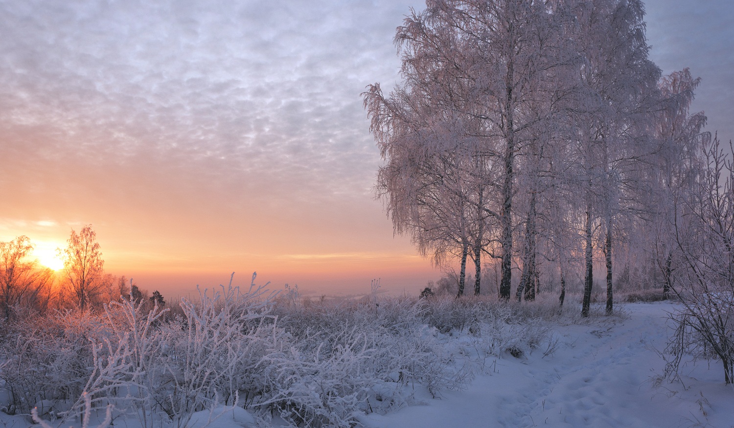 Морозный вечер.