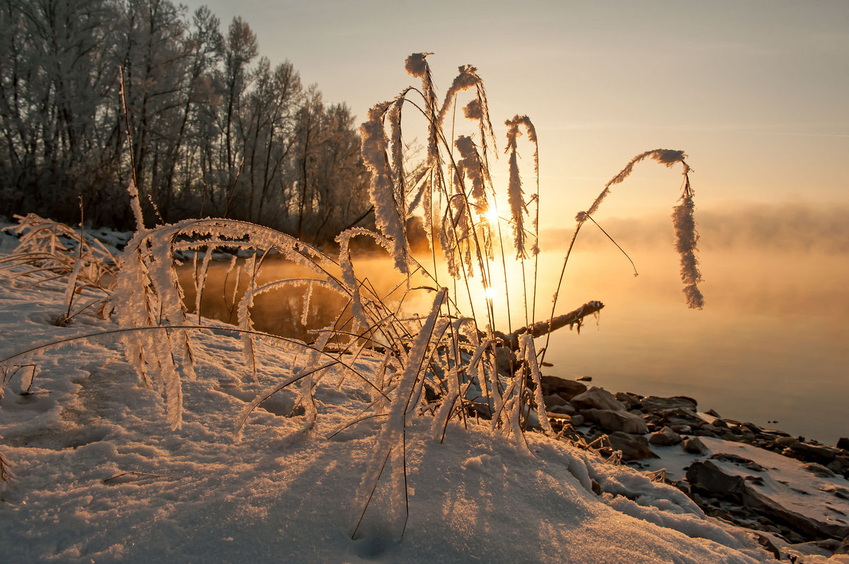 С вечерними лучами солнца...