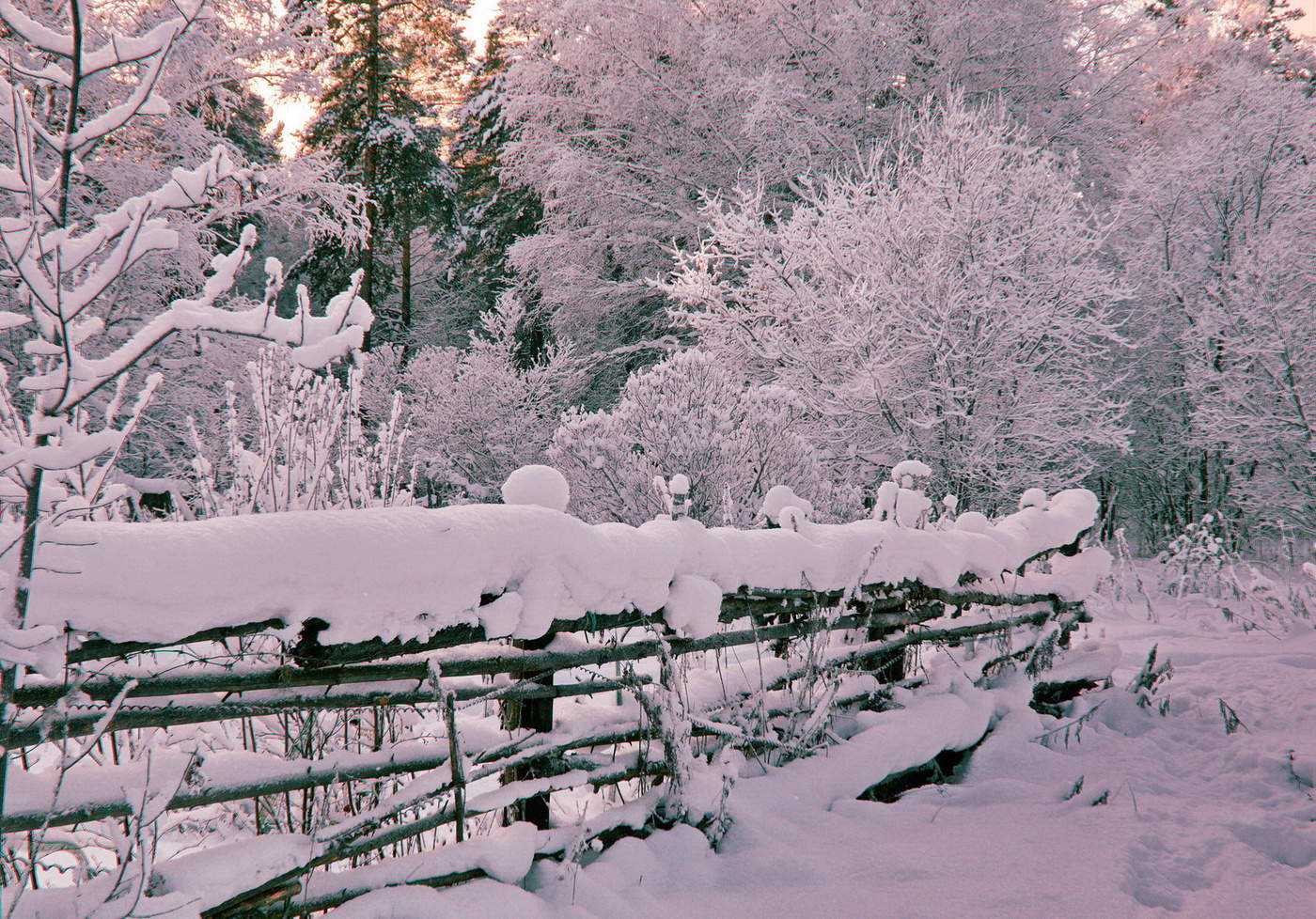 СЕРЕБРО ДЕКАБРЯ