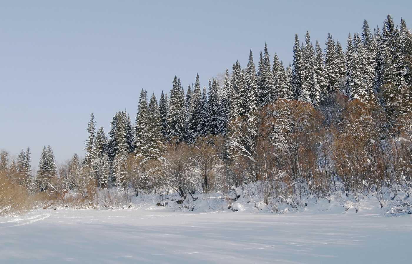 Зима в тайге