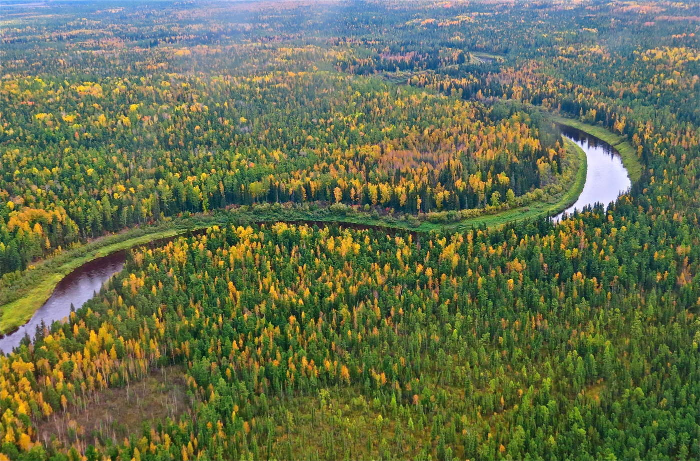 Изгиб не гитары