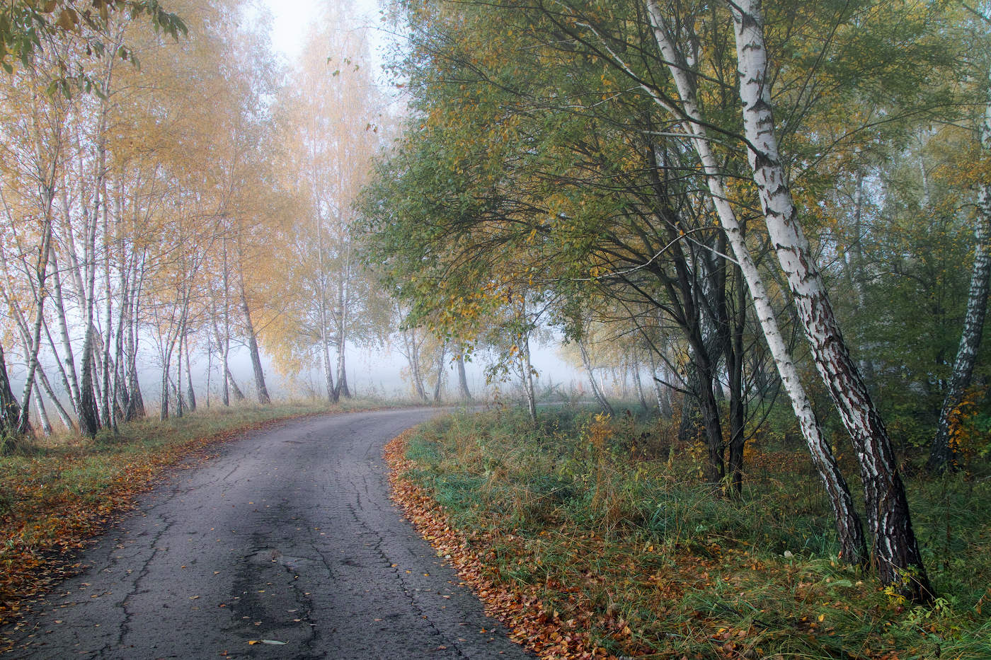 Изгиб не гитары