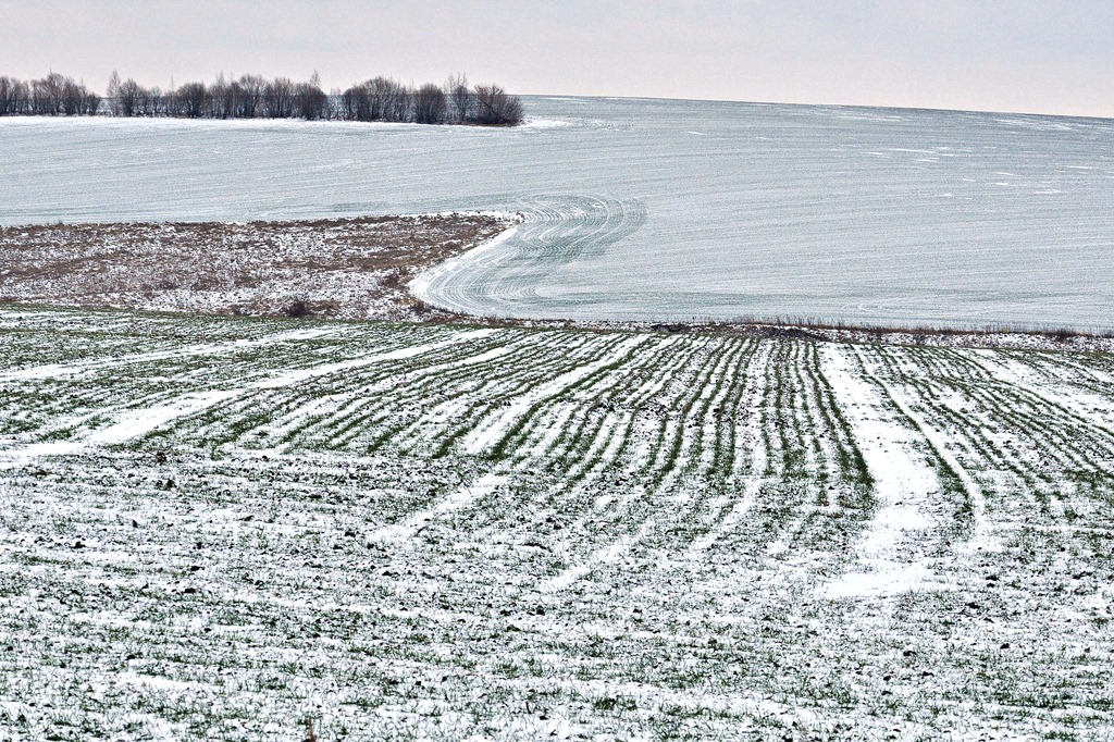 Изгиб не гитары