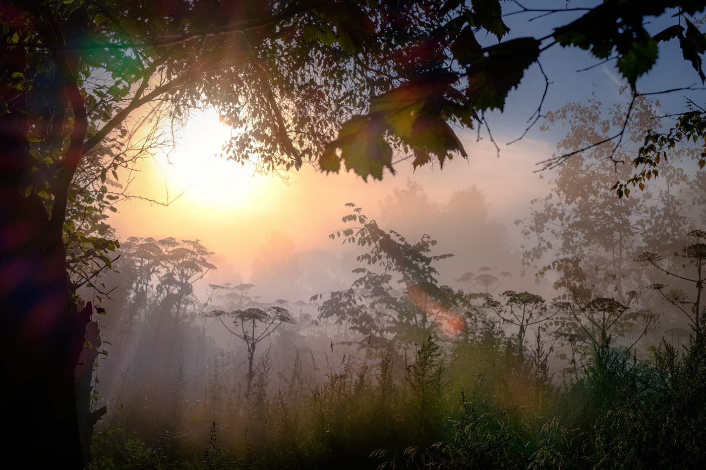 Другой рассвет