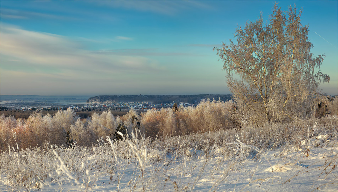 Без названия