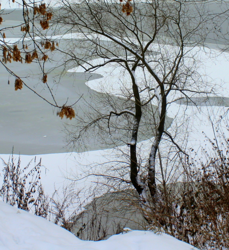 Изгиб не гитары