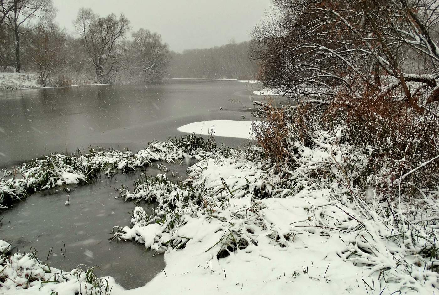 Переменчивый декабрь