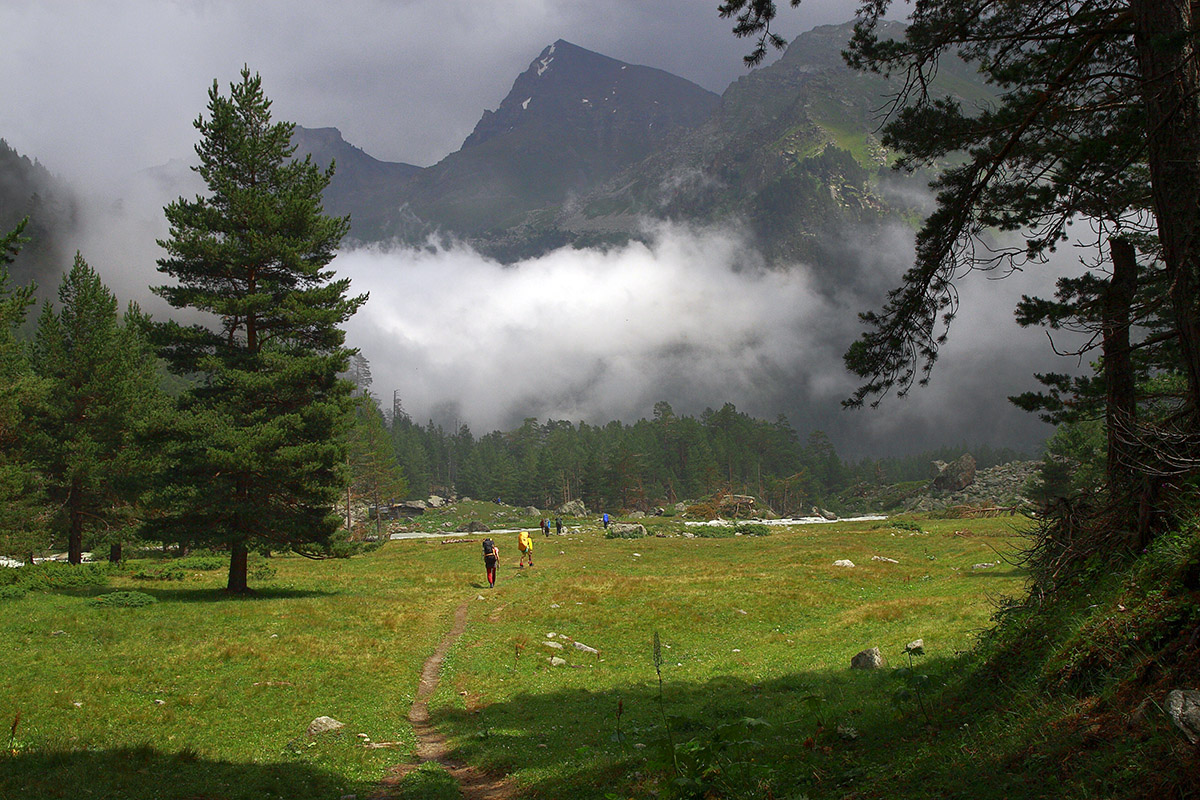 На солнечной поляночке..