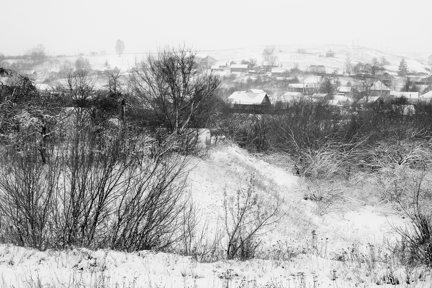 Ночью выпал снег ...