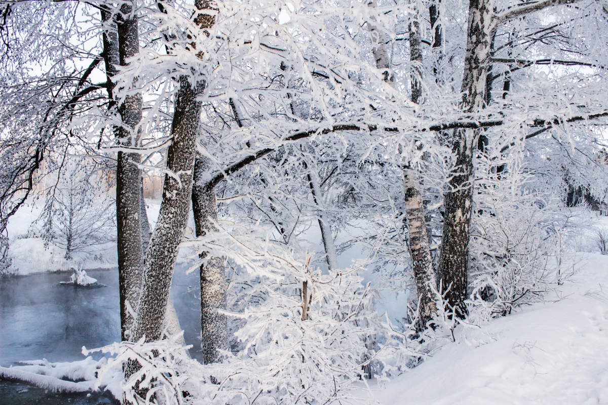 из прошлых зим...