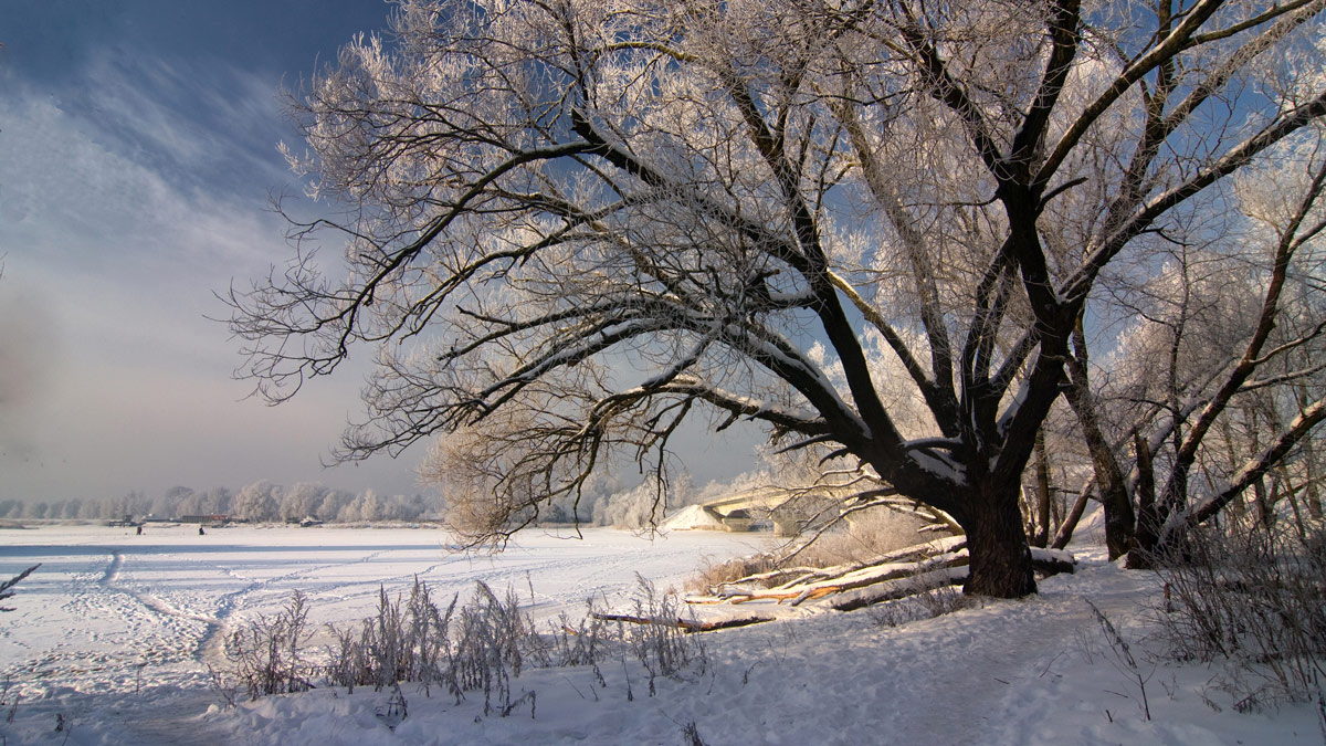 Ведь были зимы