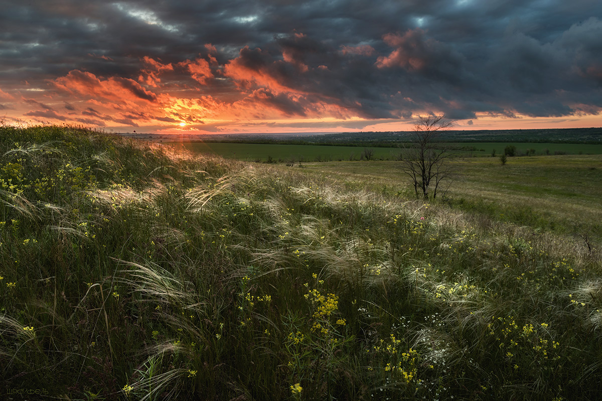 В конце мая