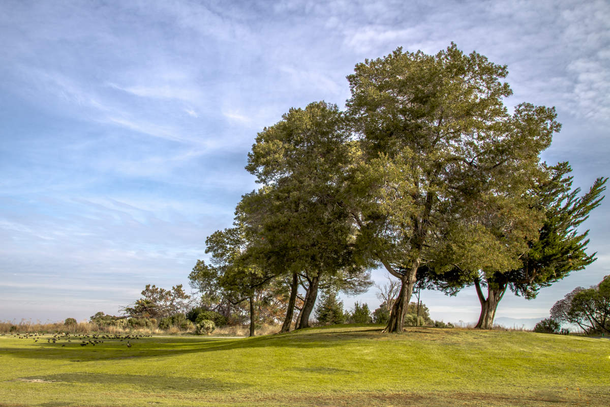 Нечто из классики