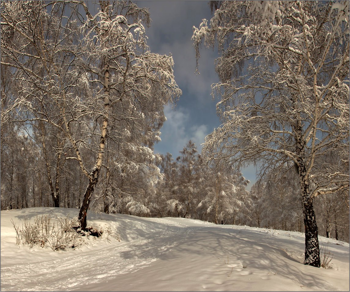 Зимний орнамент
