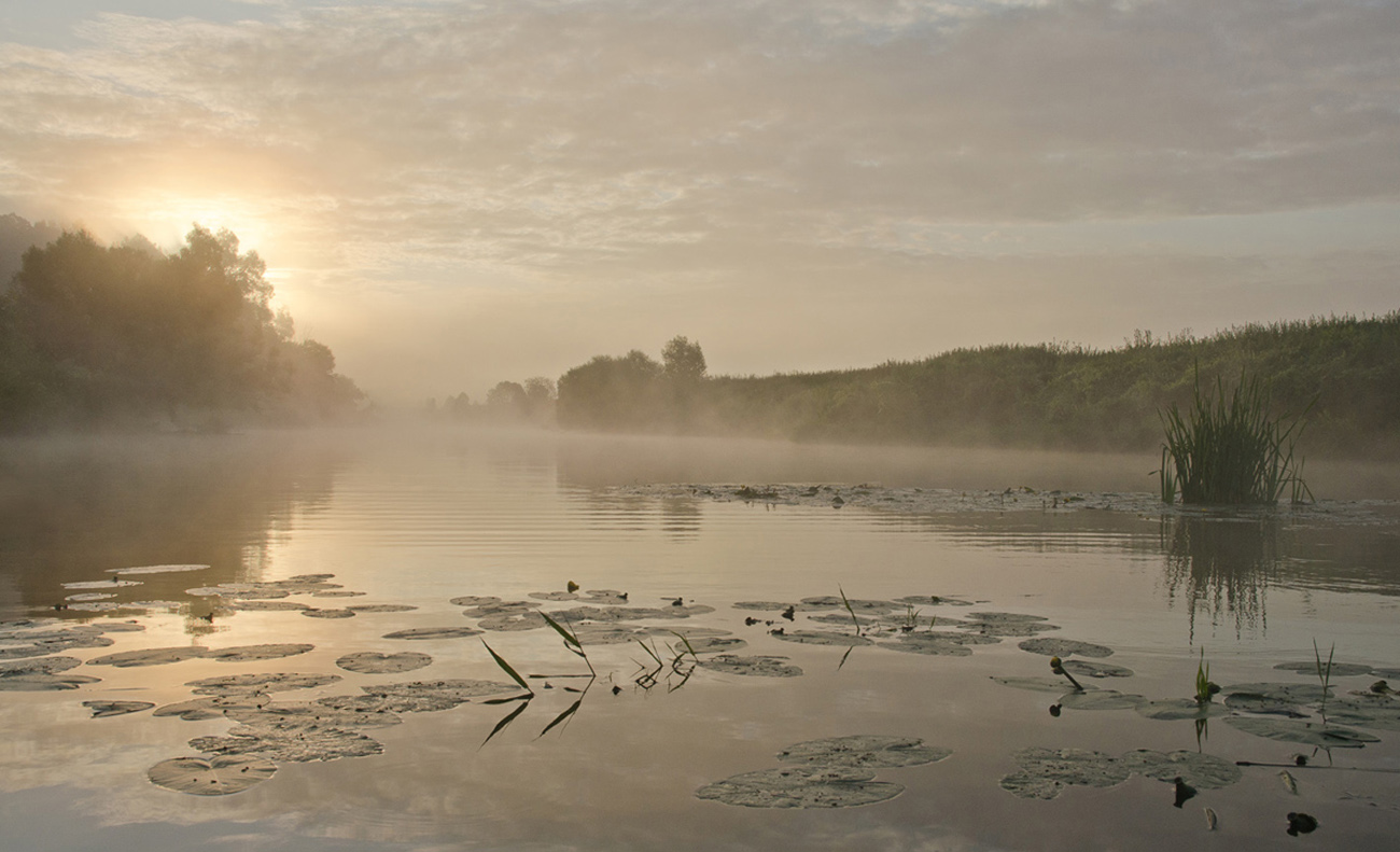 Вид на Упу. Якшино