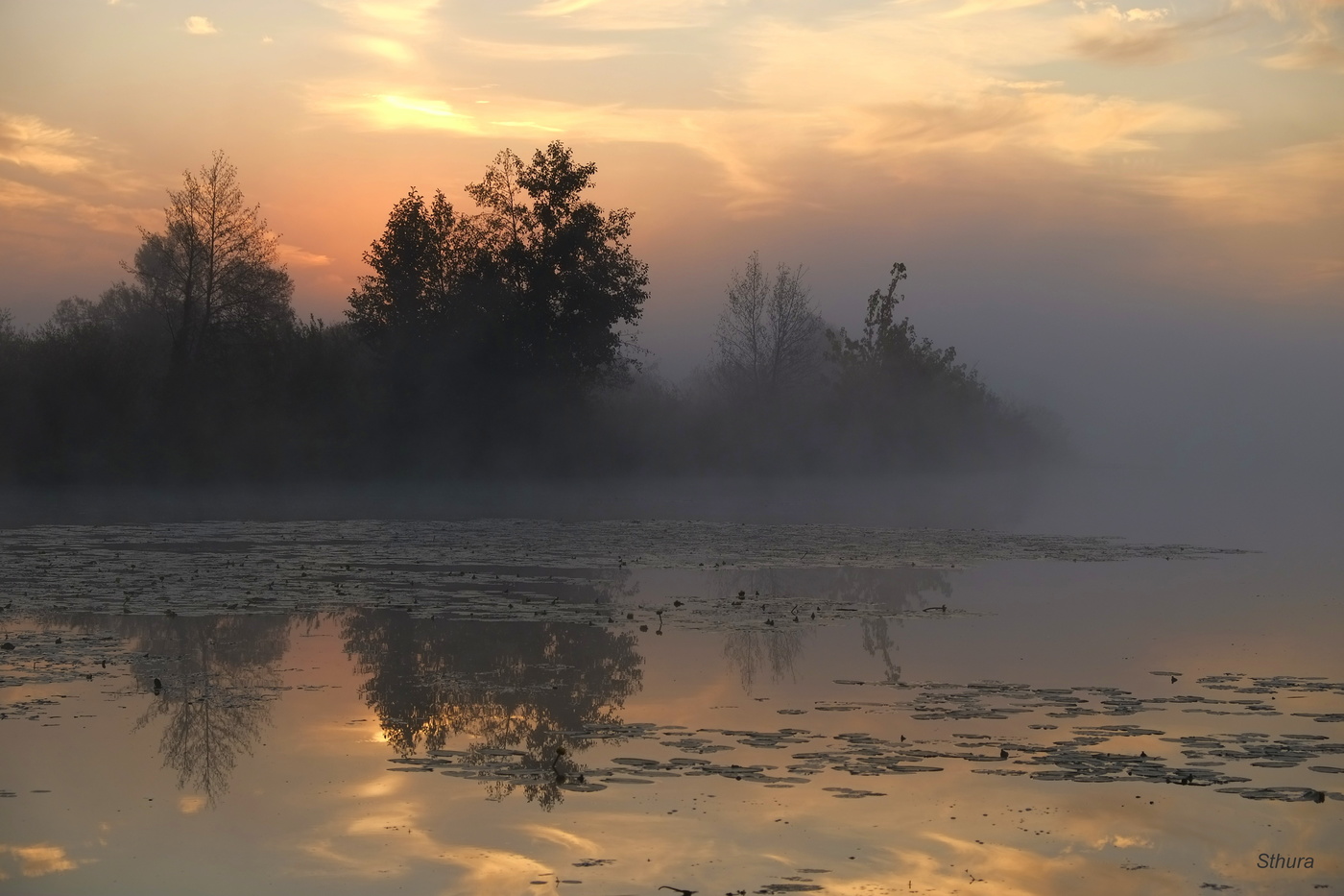 Тишина утра.
