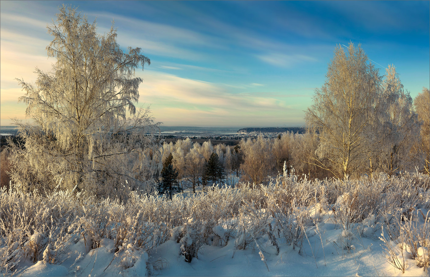 Без названия