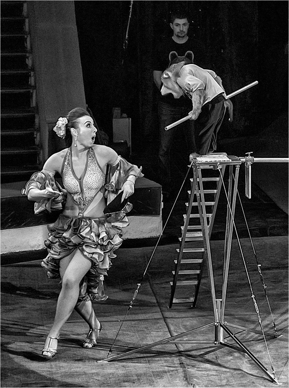 - Ты у меня попляшешь!...