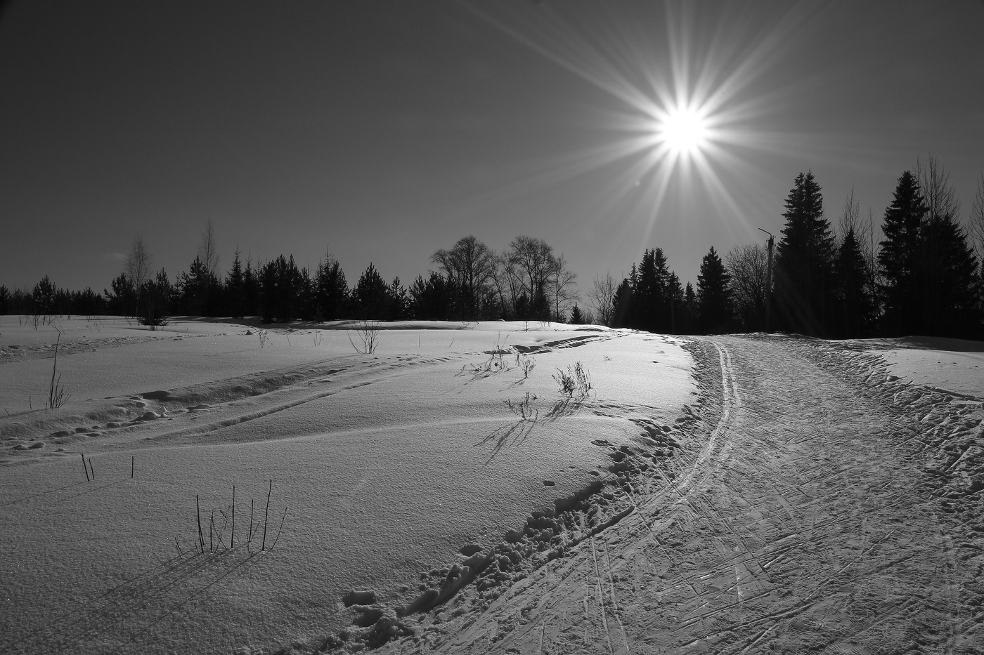 Идём на лыжах