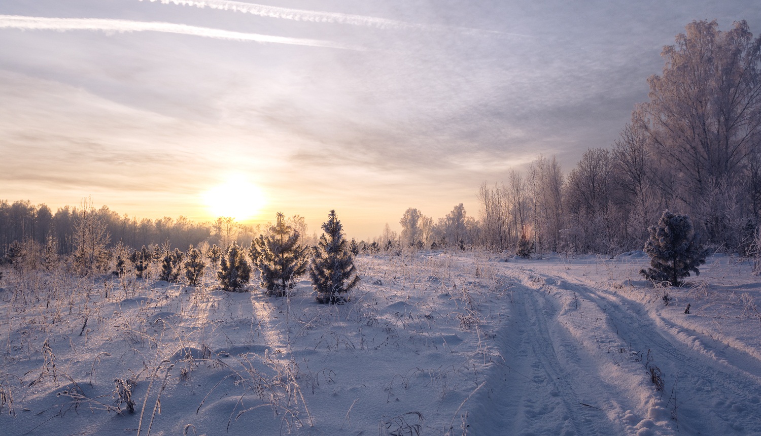 Вечерняя палитра.