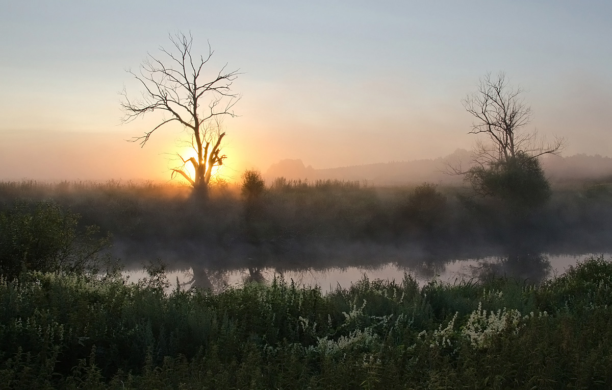 Рассветная тема
