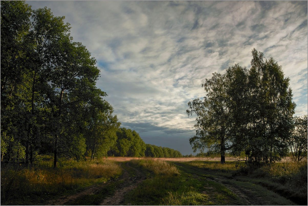 Без названия