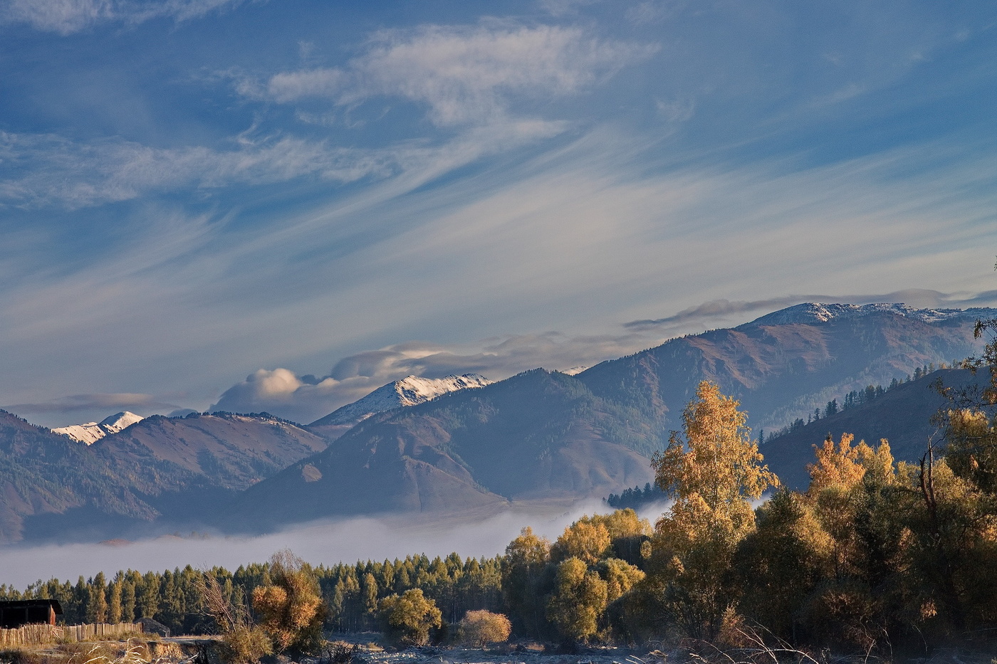 *УТРЕННИЙ ЭТЮД**