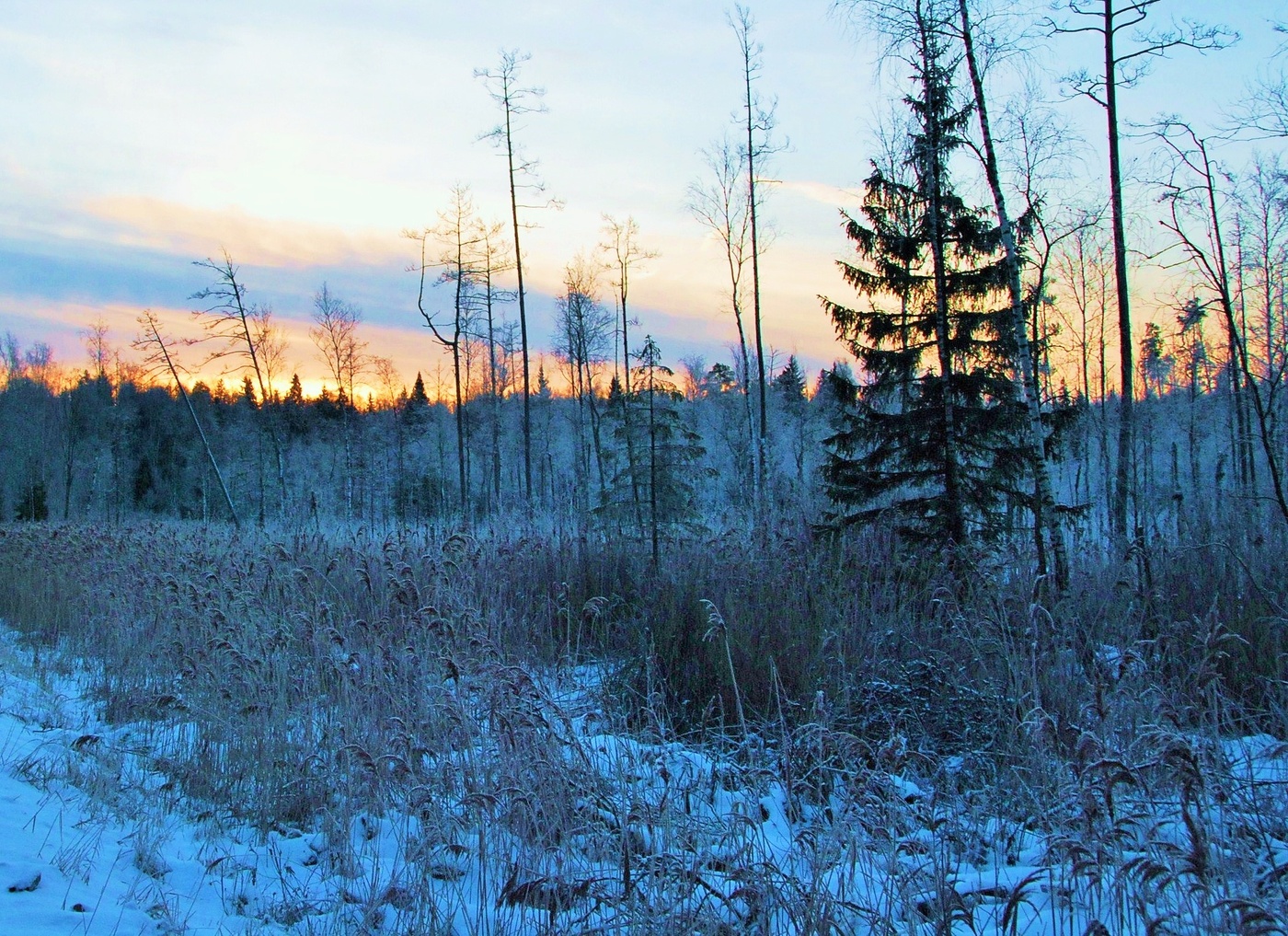 Утро с морозцем ...