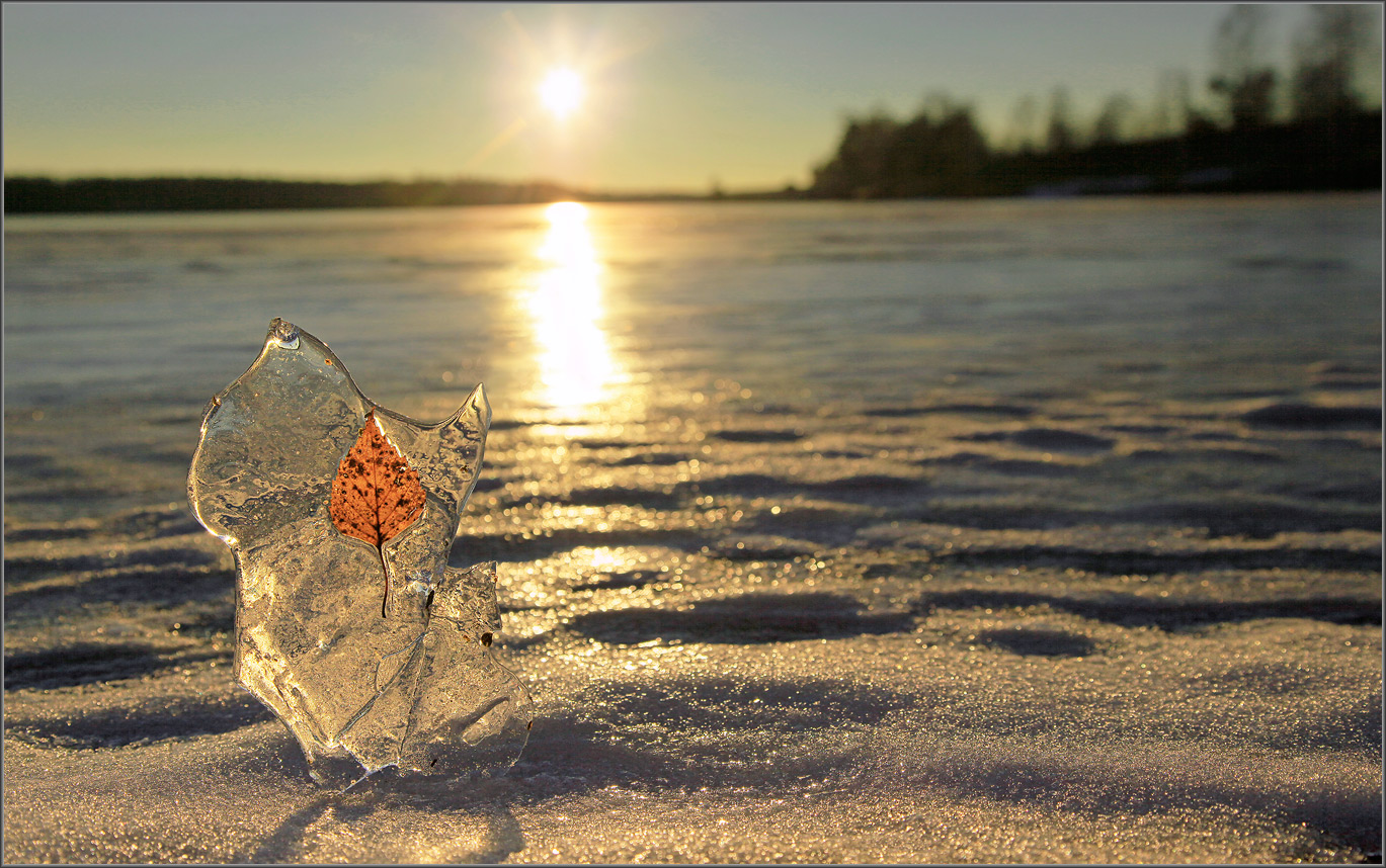 О прошедшей осени...