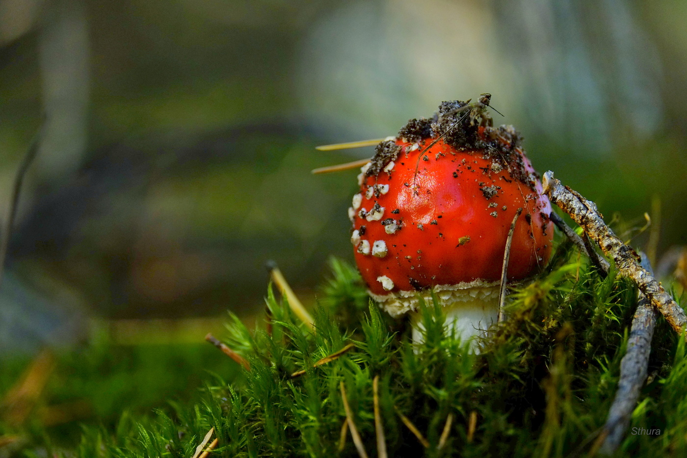 Красивый и молодой.