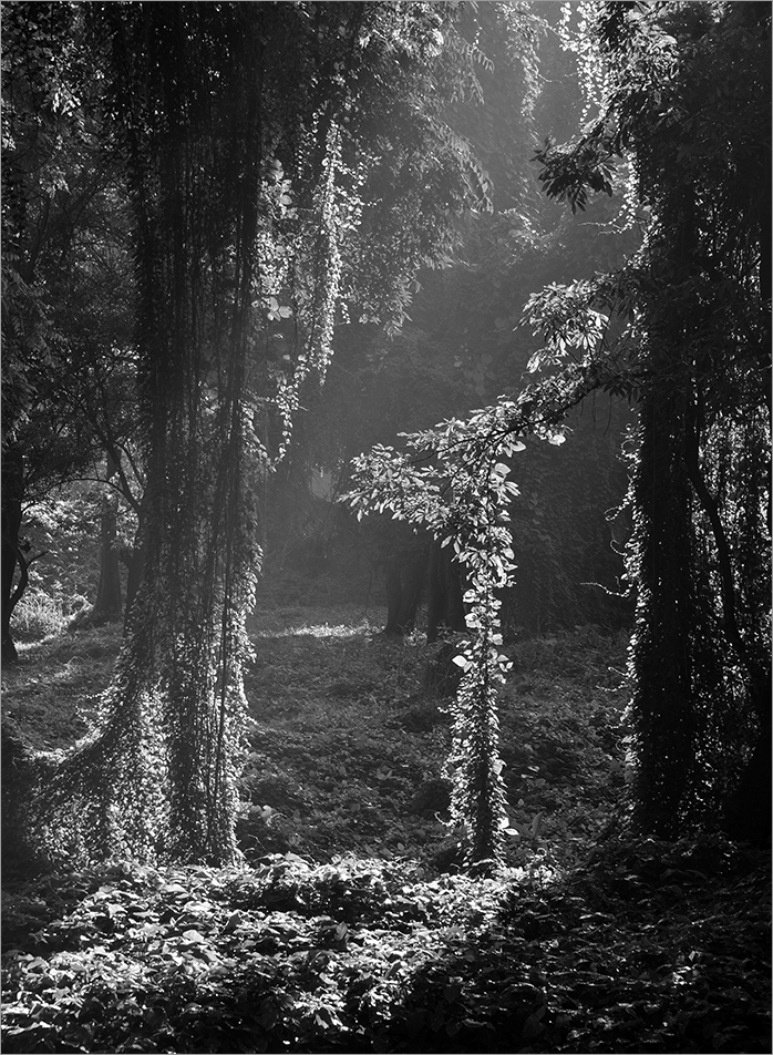 О контровом свете