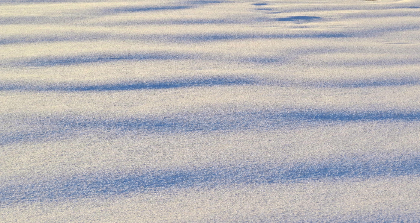 Волна за волною...