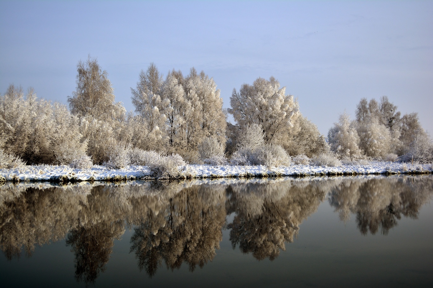 Отражение декабря