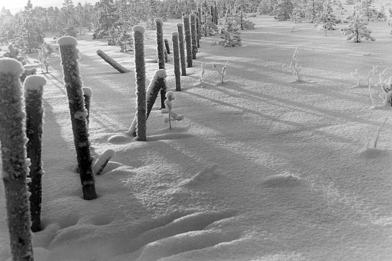 Коллеги, с НОВЫМ ГОДОМ !! Удачи Вам.