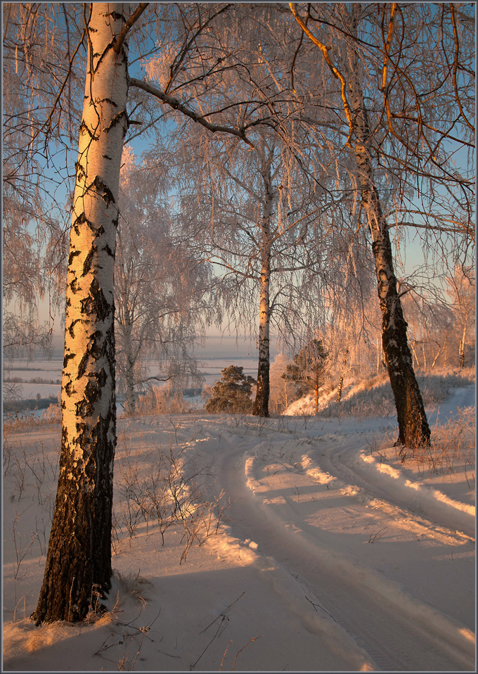 Без названия